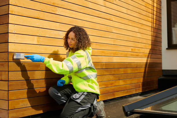 Best Stucco Siding  in Sandy Valley, NV