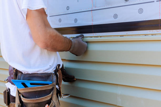 Best Steel Siding Installation  in Sandy Valley, NV